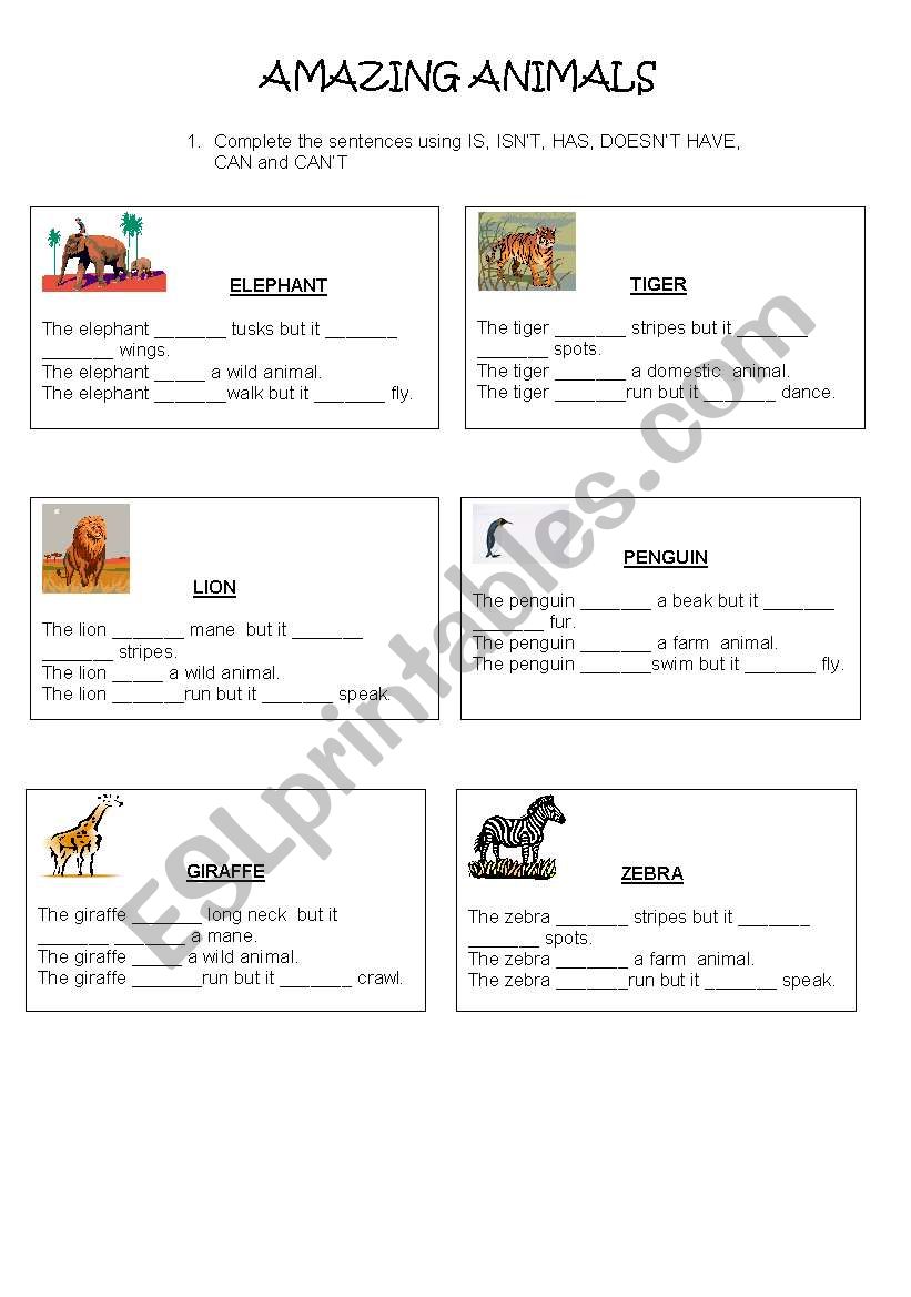 Describing animals worksheet