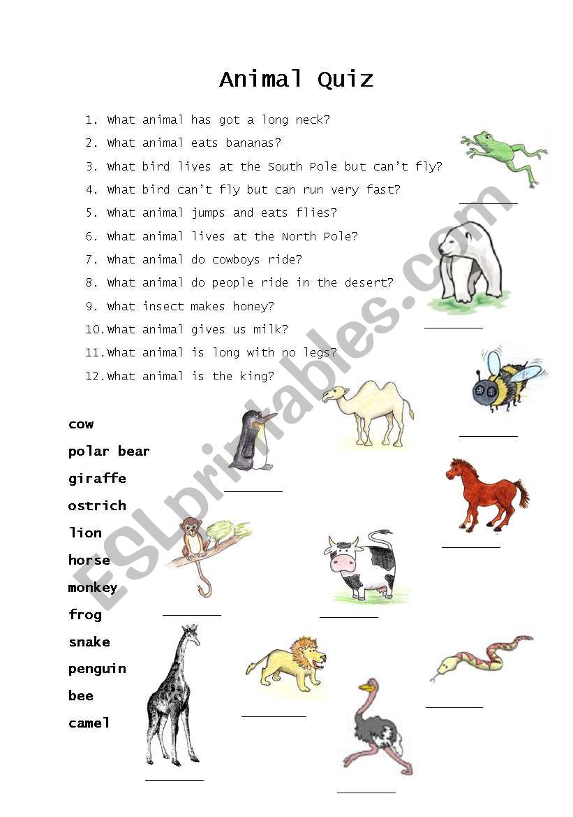 Animal Quiz worksheet