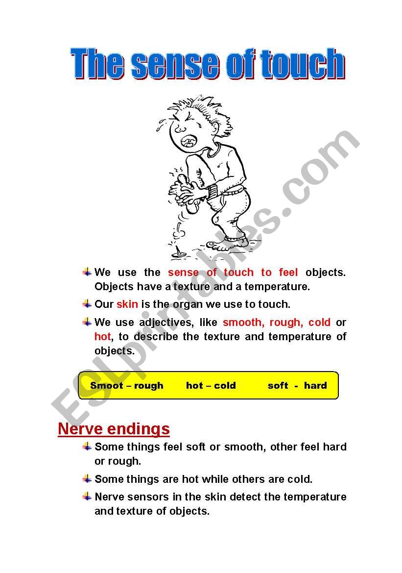 The sense of touch worksheet
