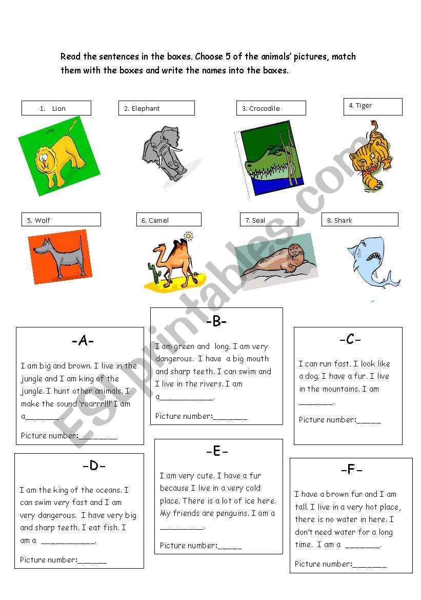 wild animals worksheet