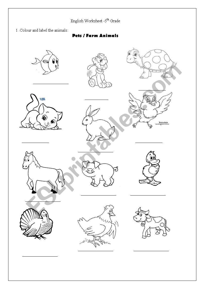 Animals worksheet