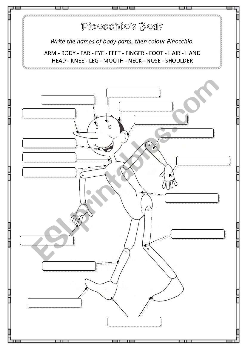 Pinocchios Body worksheet