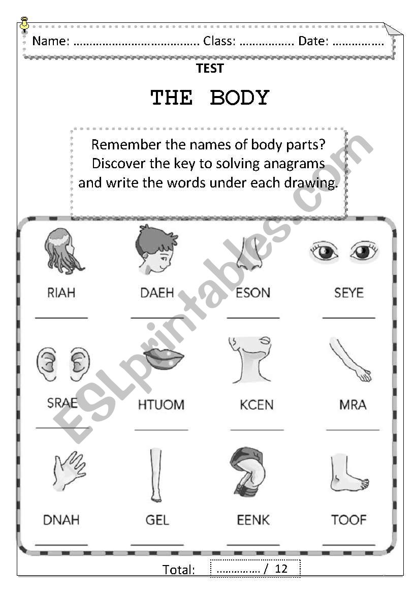 Body Test worksheet