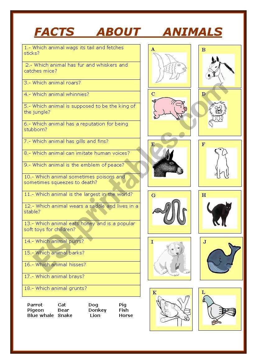 Vocabulary: Facts about animals