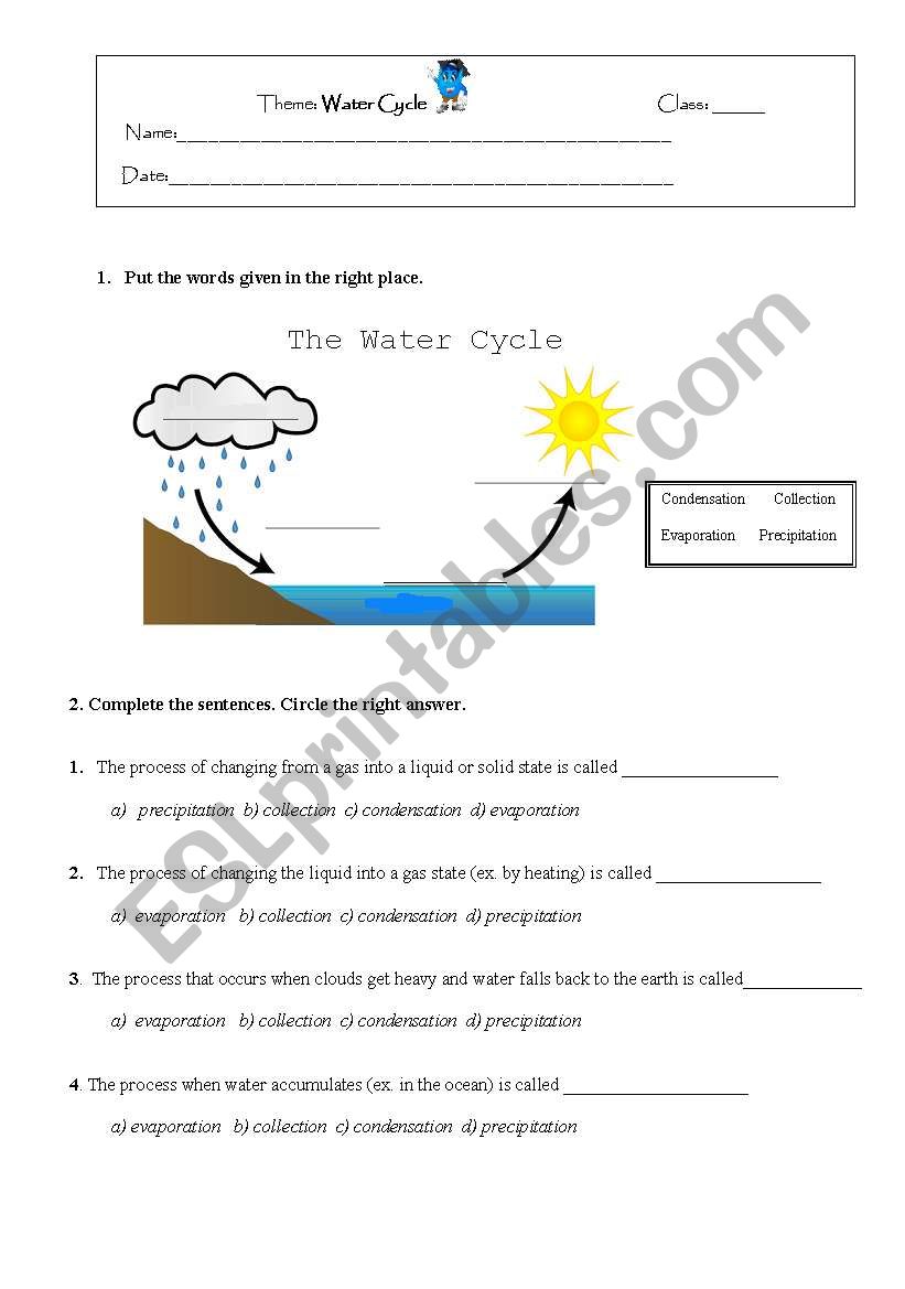 Water Cycle worksheet