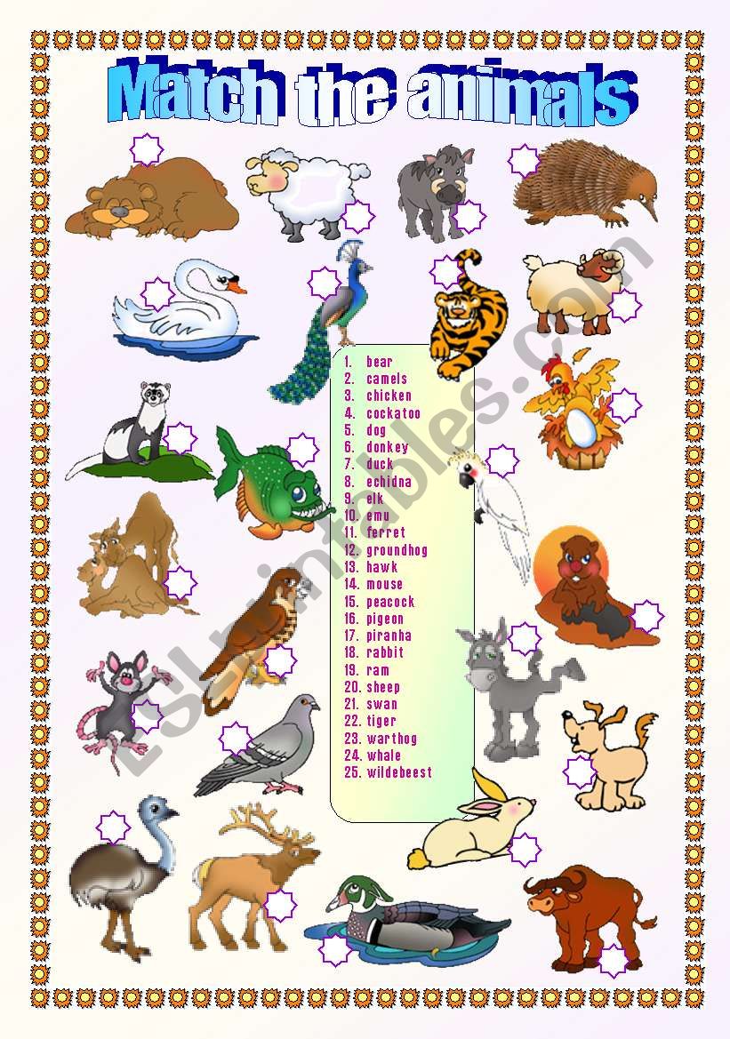 Animals - matching exercise 2/2  (fully editable + key)