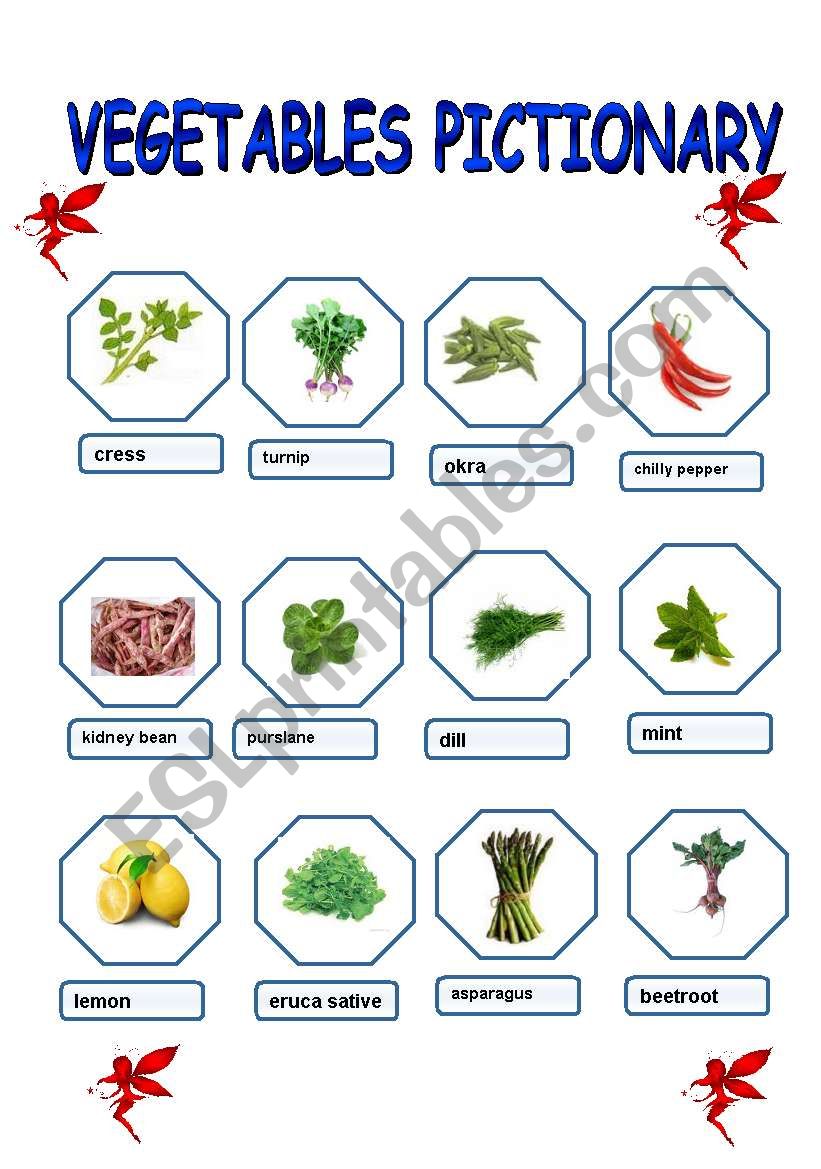vegetable worksheet