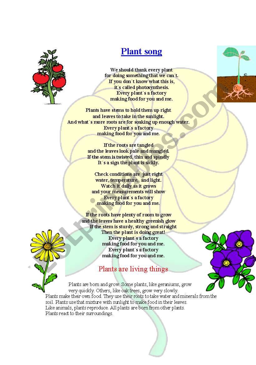 Lesson plan about plants.Includes great song. Part 1