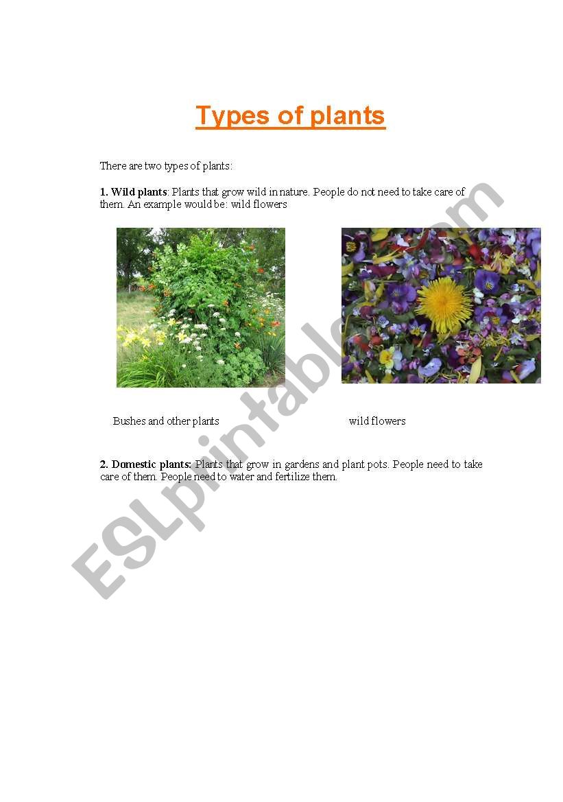 Lesson plan about plants.I Part 2