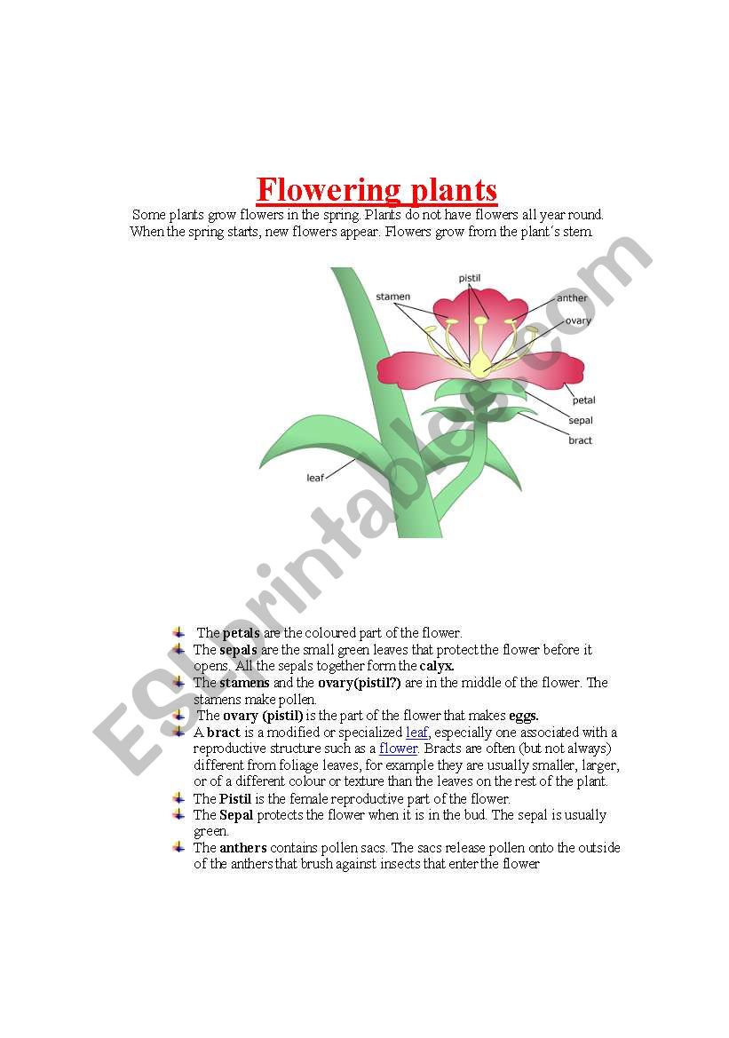 Parts of a plant. parts of a flower Part 3