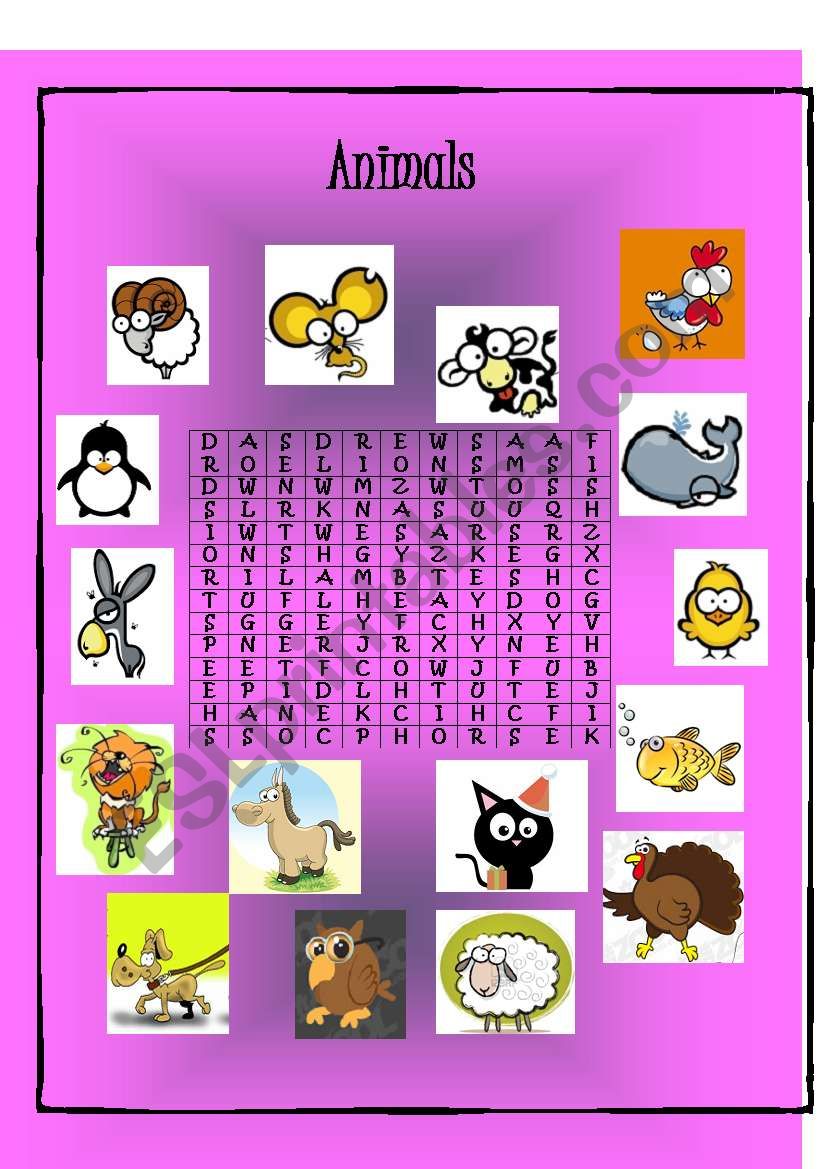 Animals worksheet