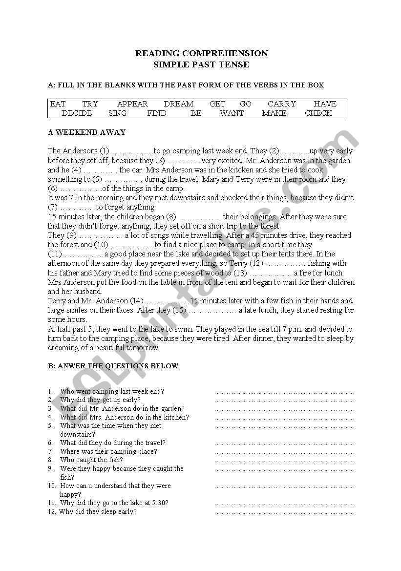 Reading comprehension worksheet