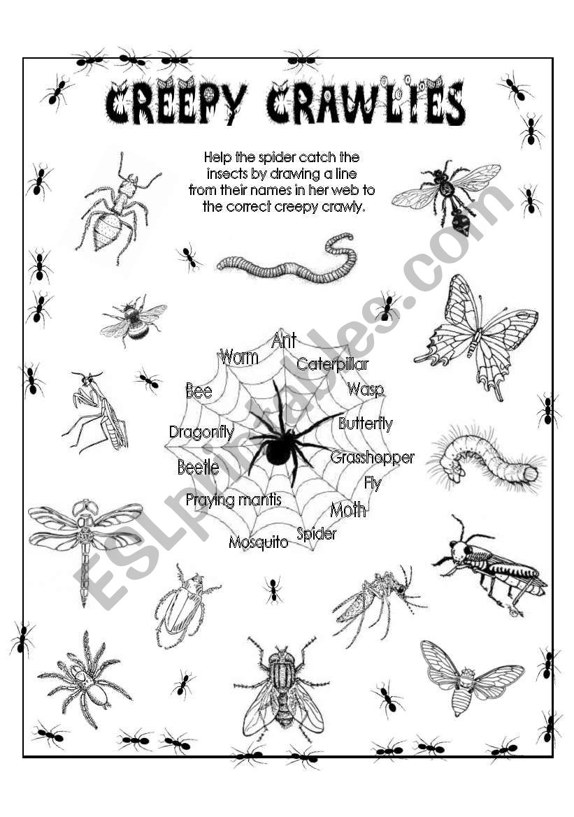 Creepy Crawlies (Insects) worksheet