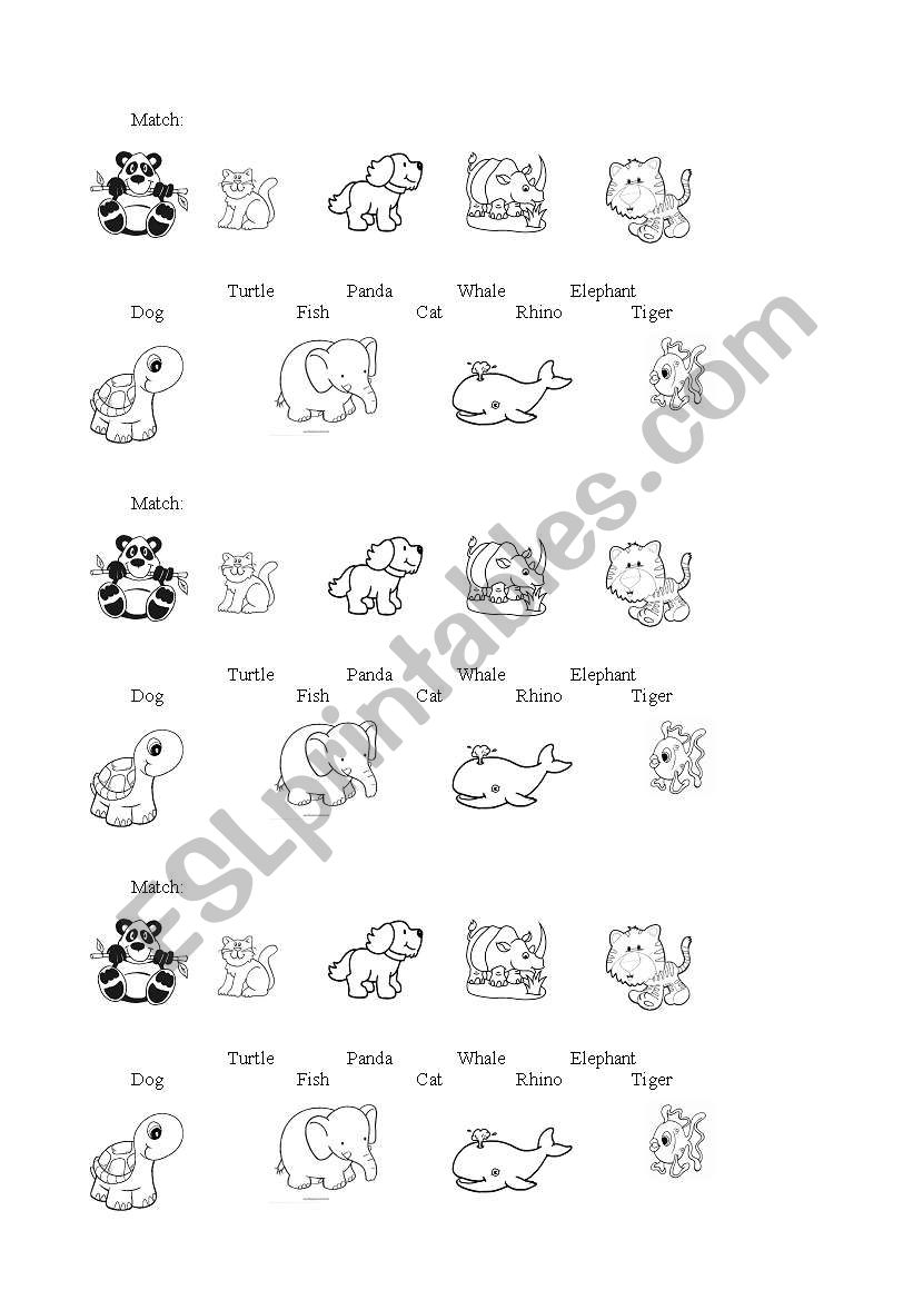 animals worksheet