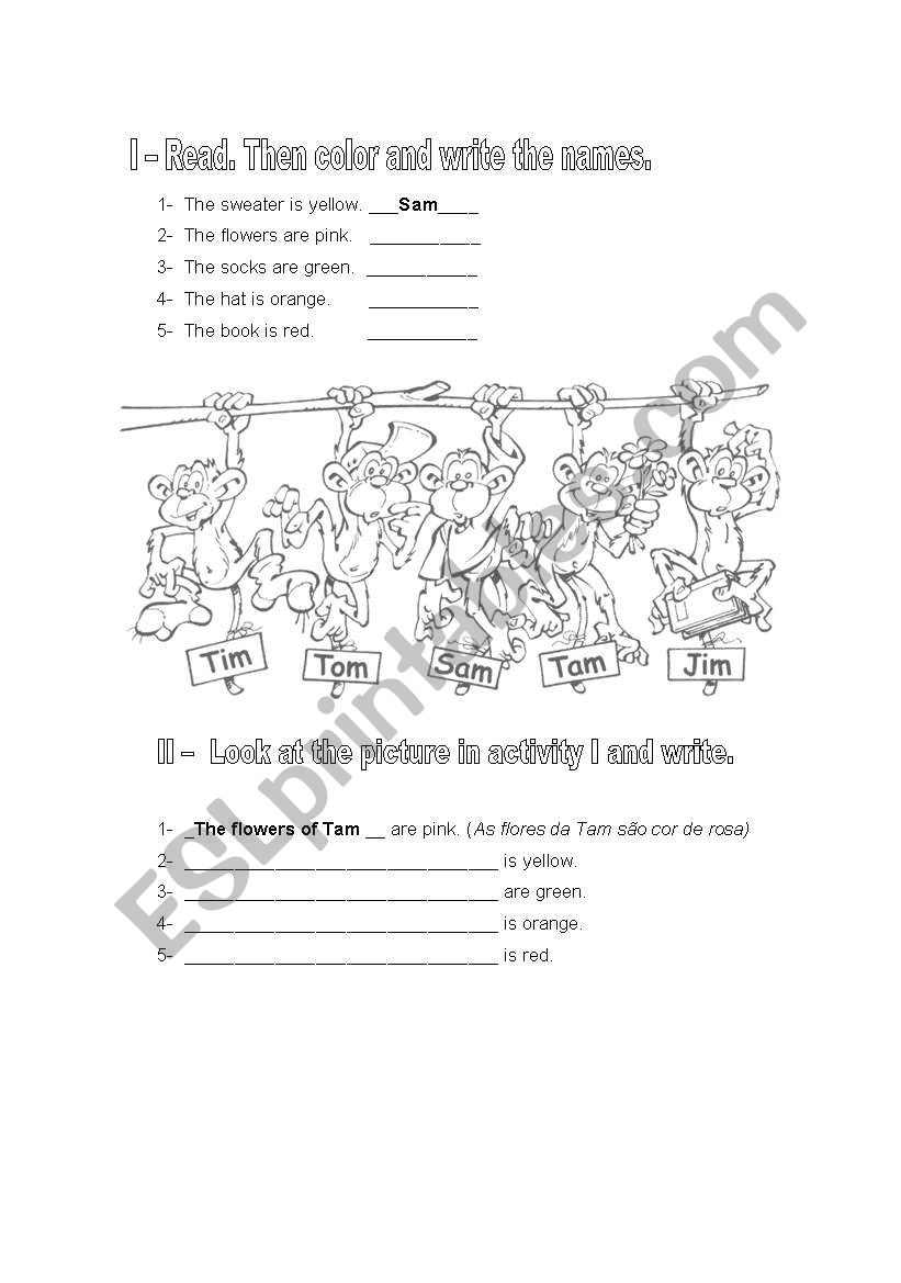 colors and pronouns worksheet