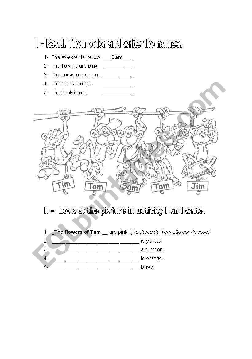 colors and pronouns worksheet