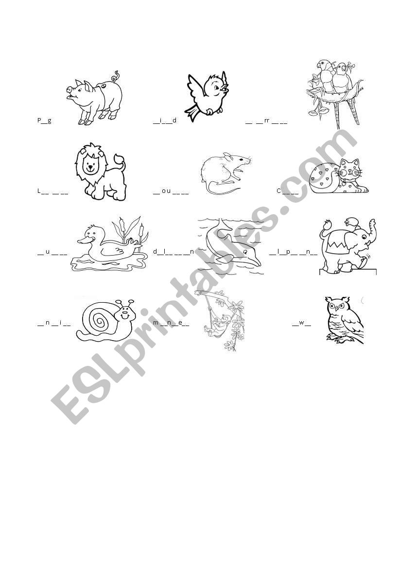 animals exercise worksheet