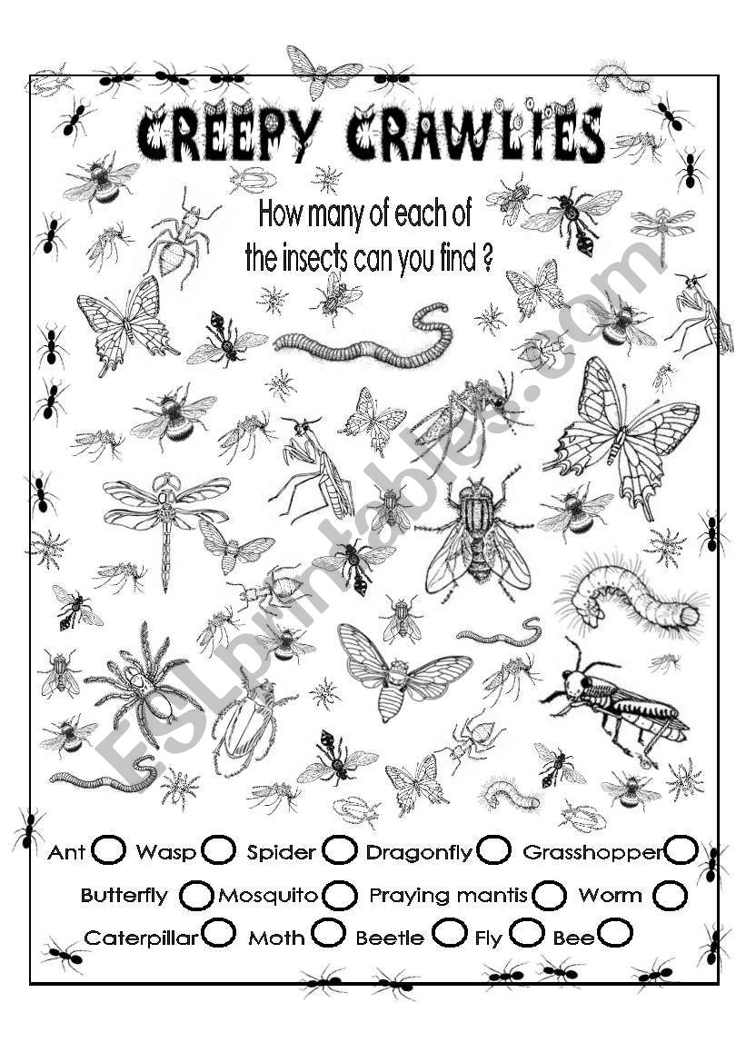 Creepy crawlies (Find them all))