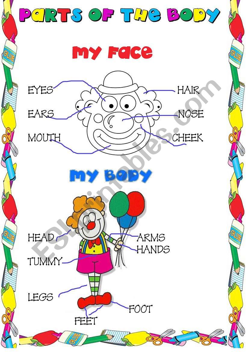 parts of the body vocabulary  worksheet