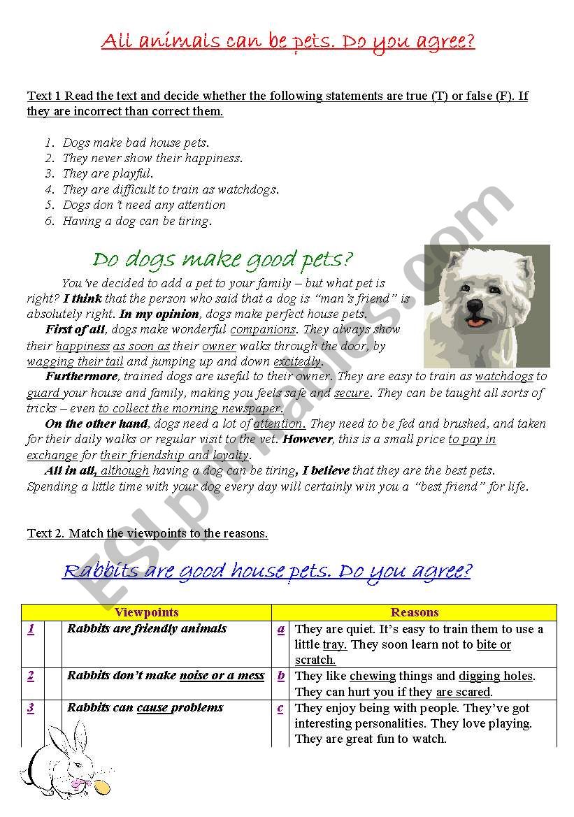 All animals can be friends worksheet