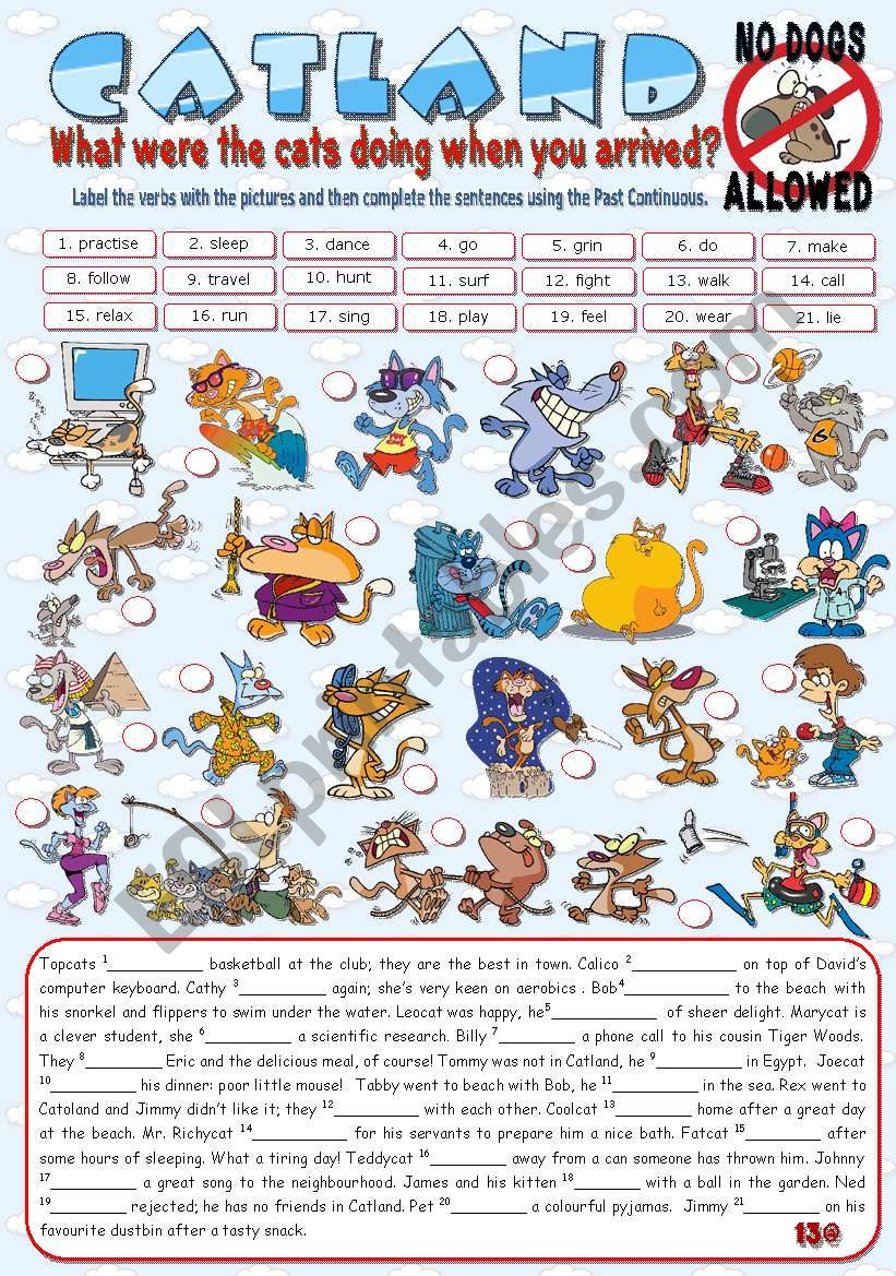 CATLAND - No Dogs Allowed worksheet