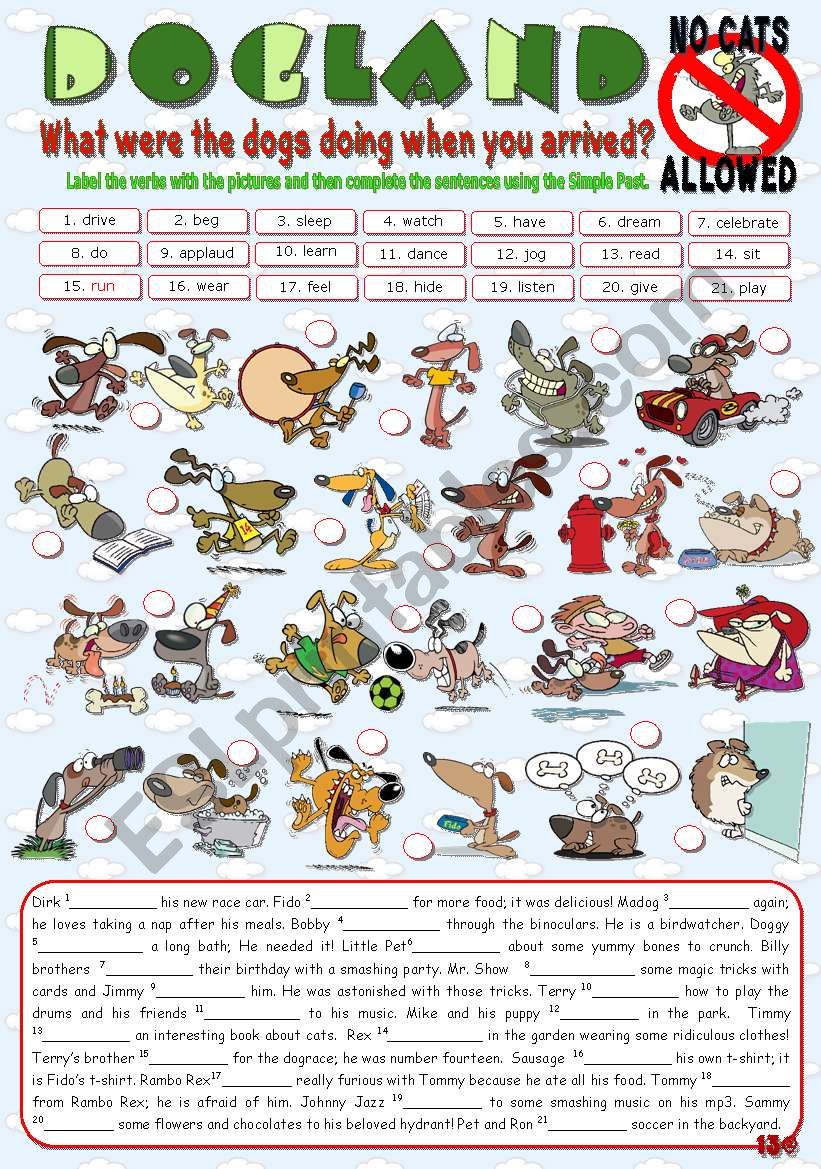 DOGLAND - No Cats Allowed worksheet