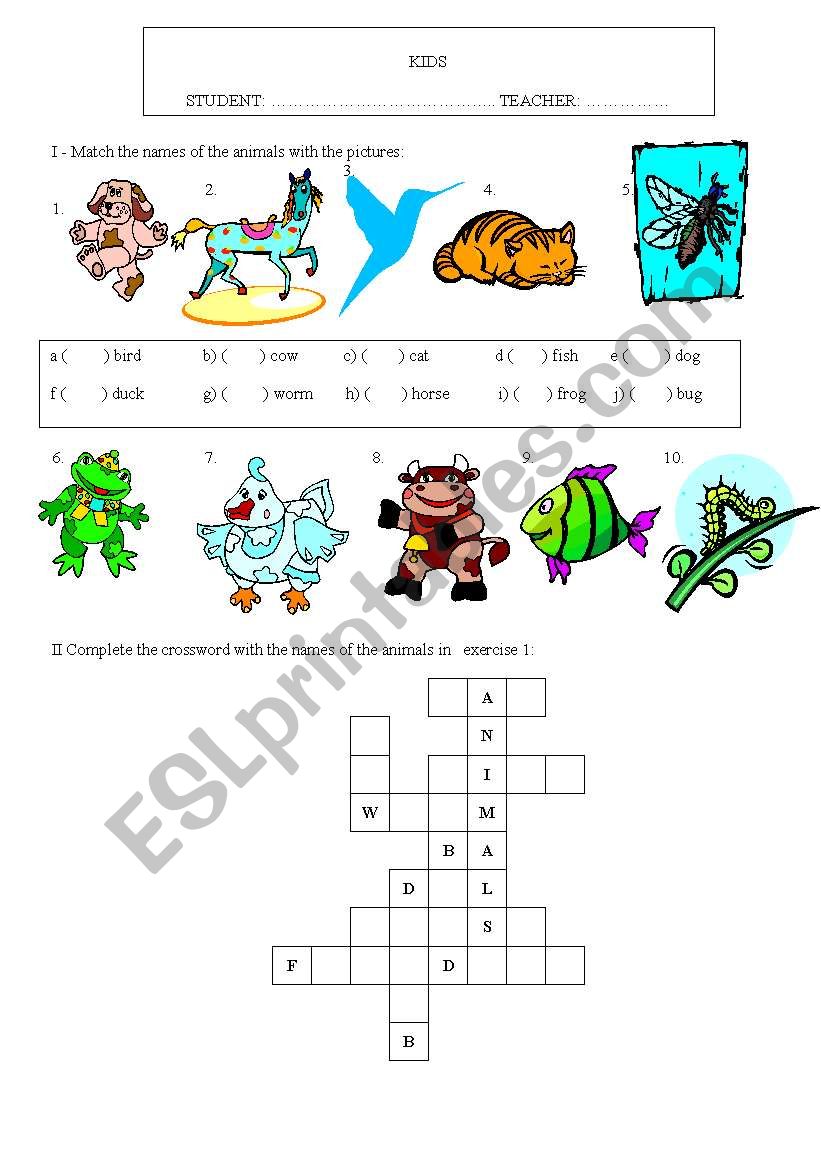 Animals worksheet