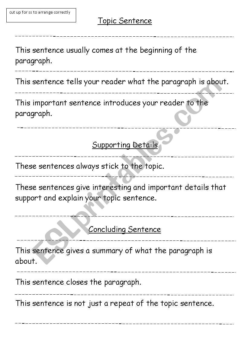 The Paragraph Burger worksheet