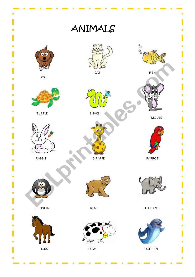 animals worksheet