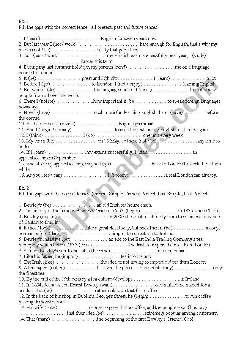 grammar exercises worksheet