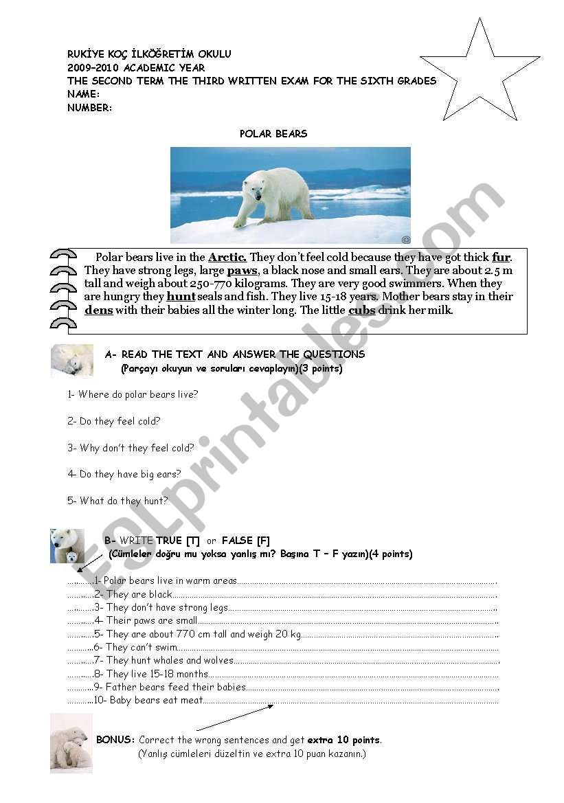POLAR BEARS-easy reading and exercises