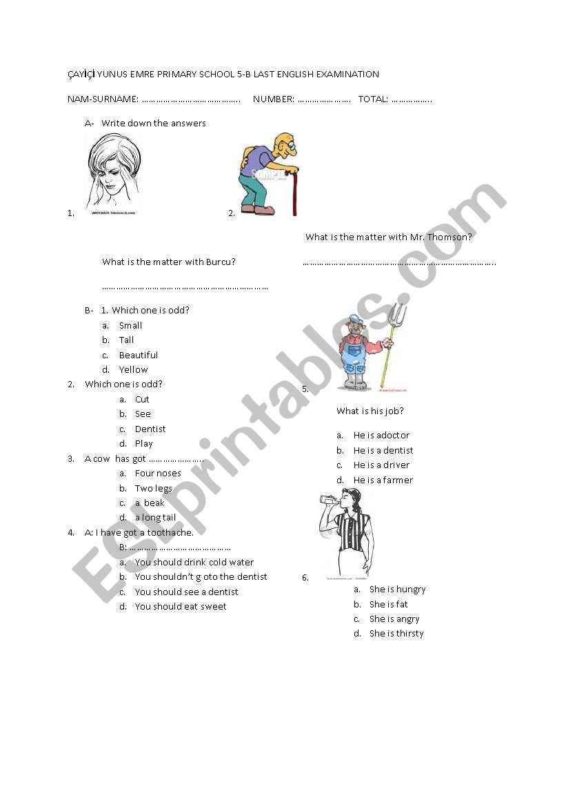 examination worksheet