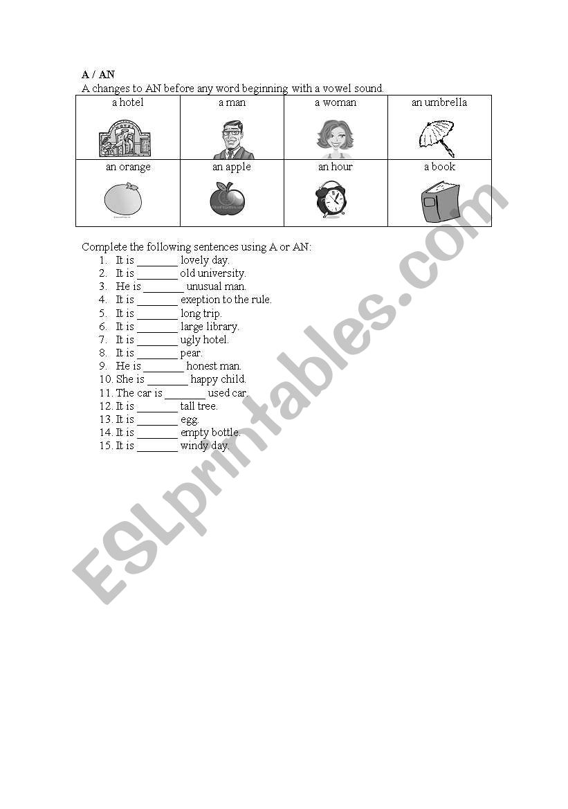 A OR AN worksheet