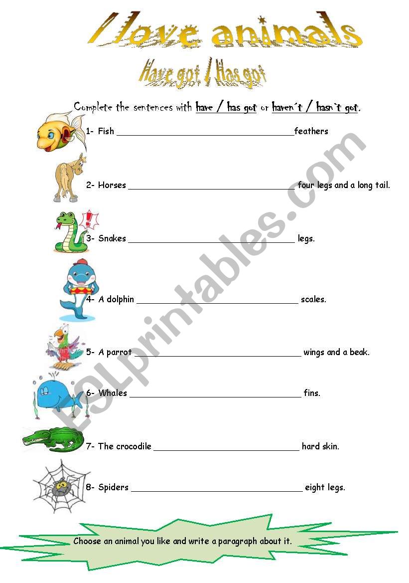 have got-has got worksheet