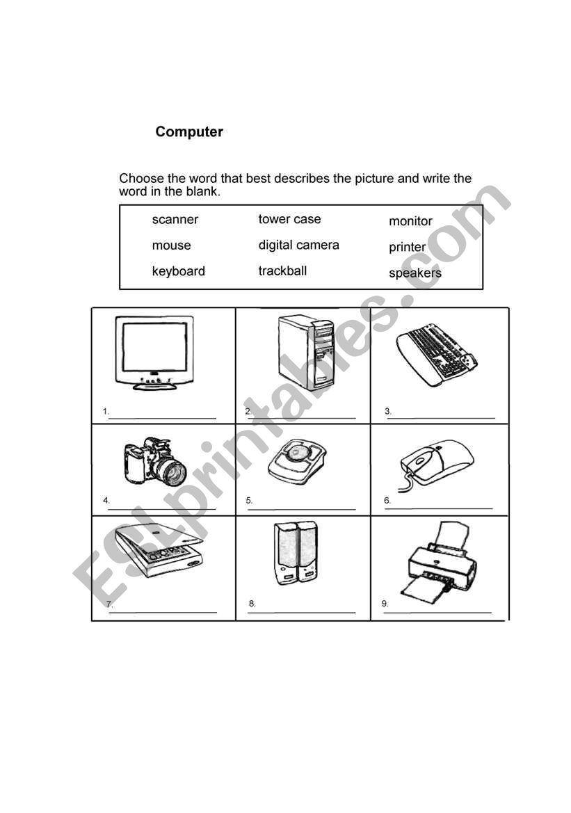 COMPUTER worksheet