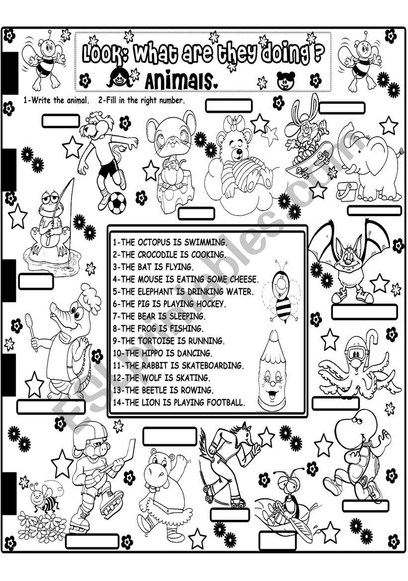 what are the animals doing? worksheet