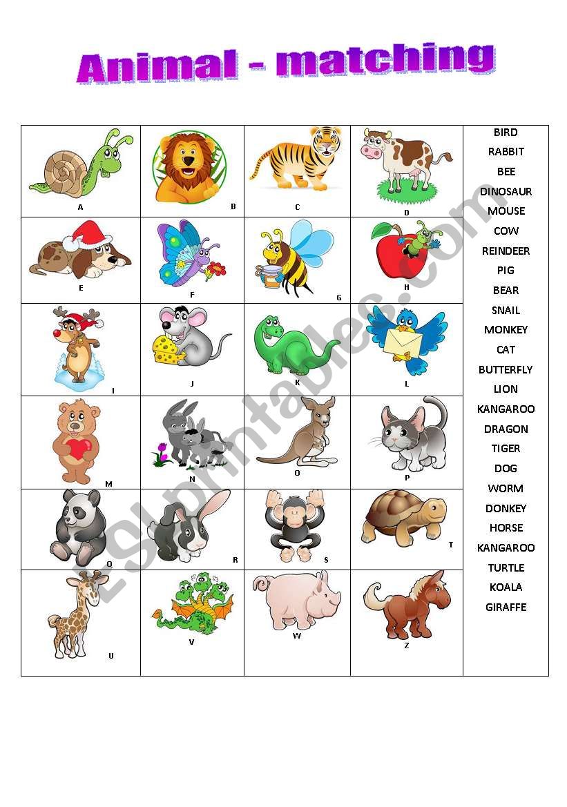 Animal matching exercise worksheet