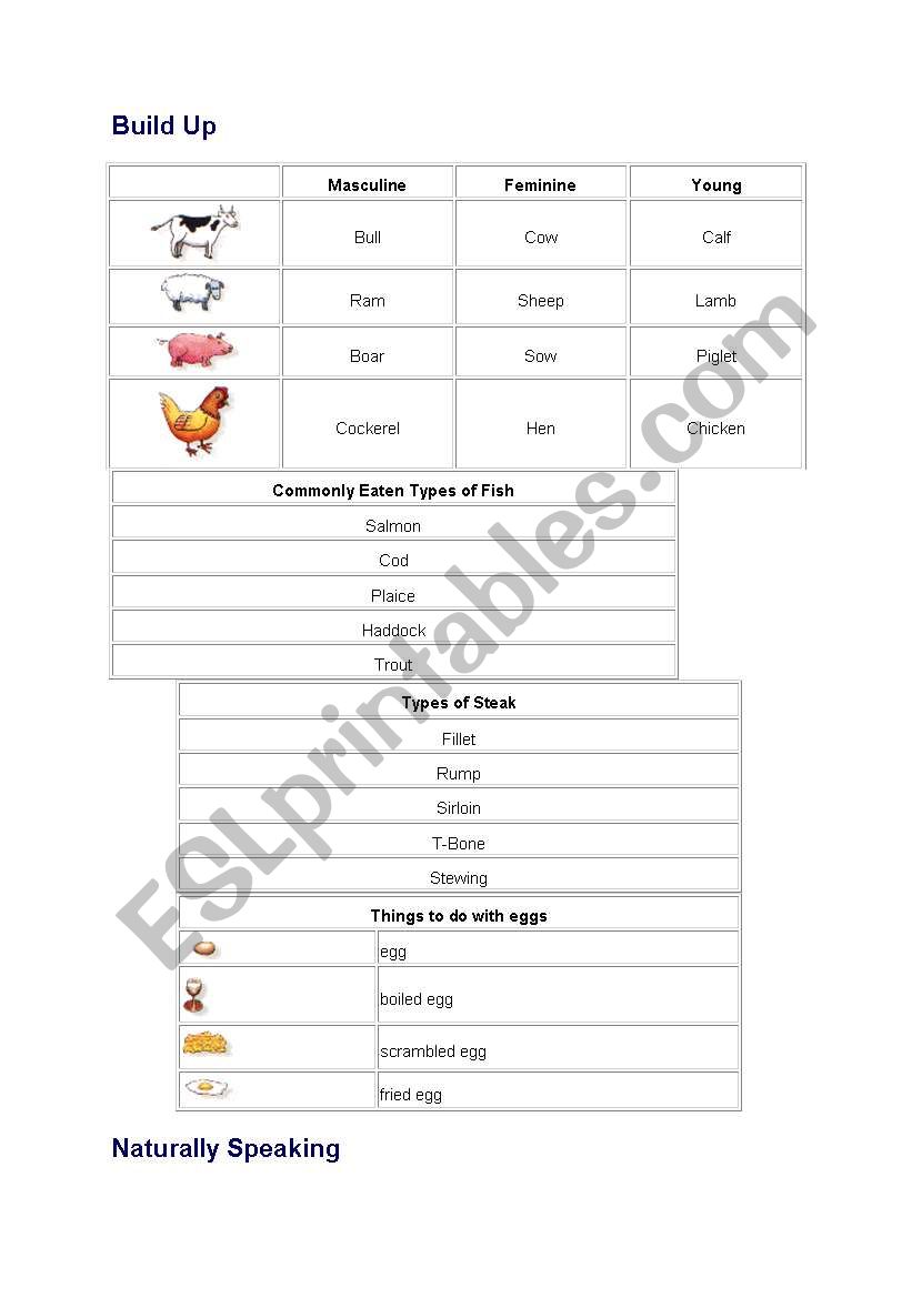 Vocabulary - Food related words