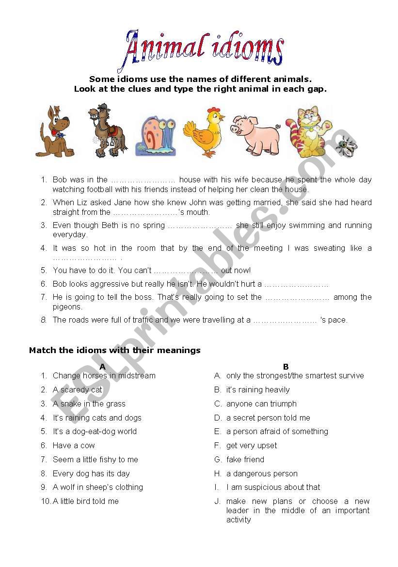 Animal Idioms 1 worksheet