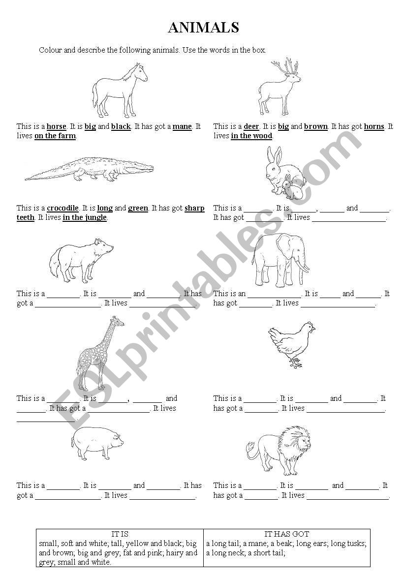 Animal description worksheet