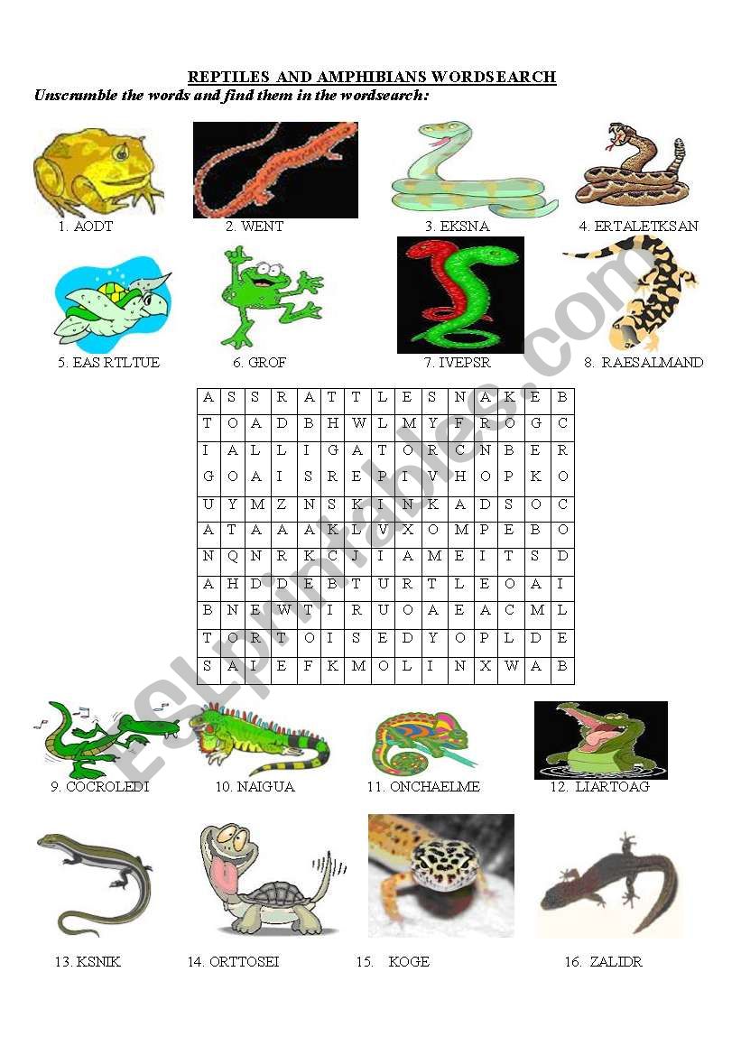 Reptiles and amphibians wordsearch