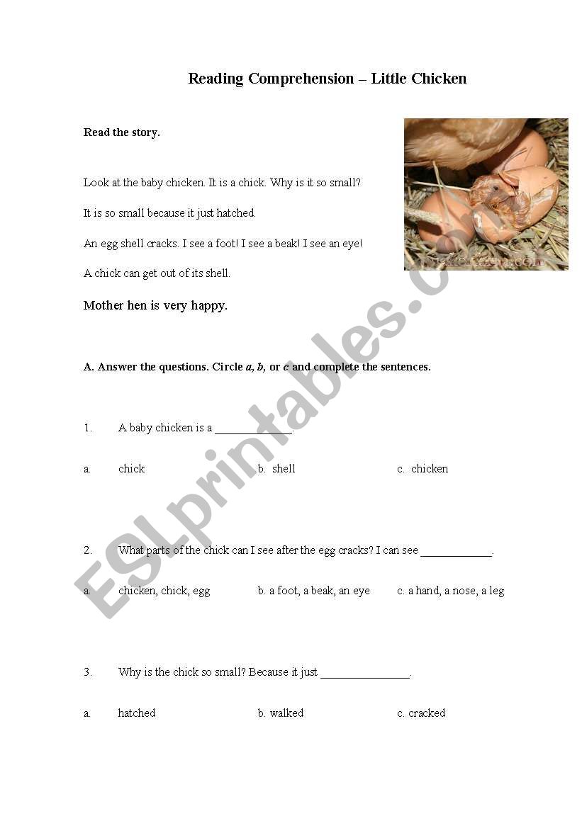 LITTLE CHICKEN worksheet