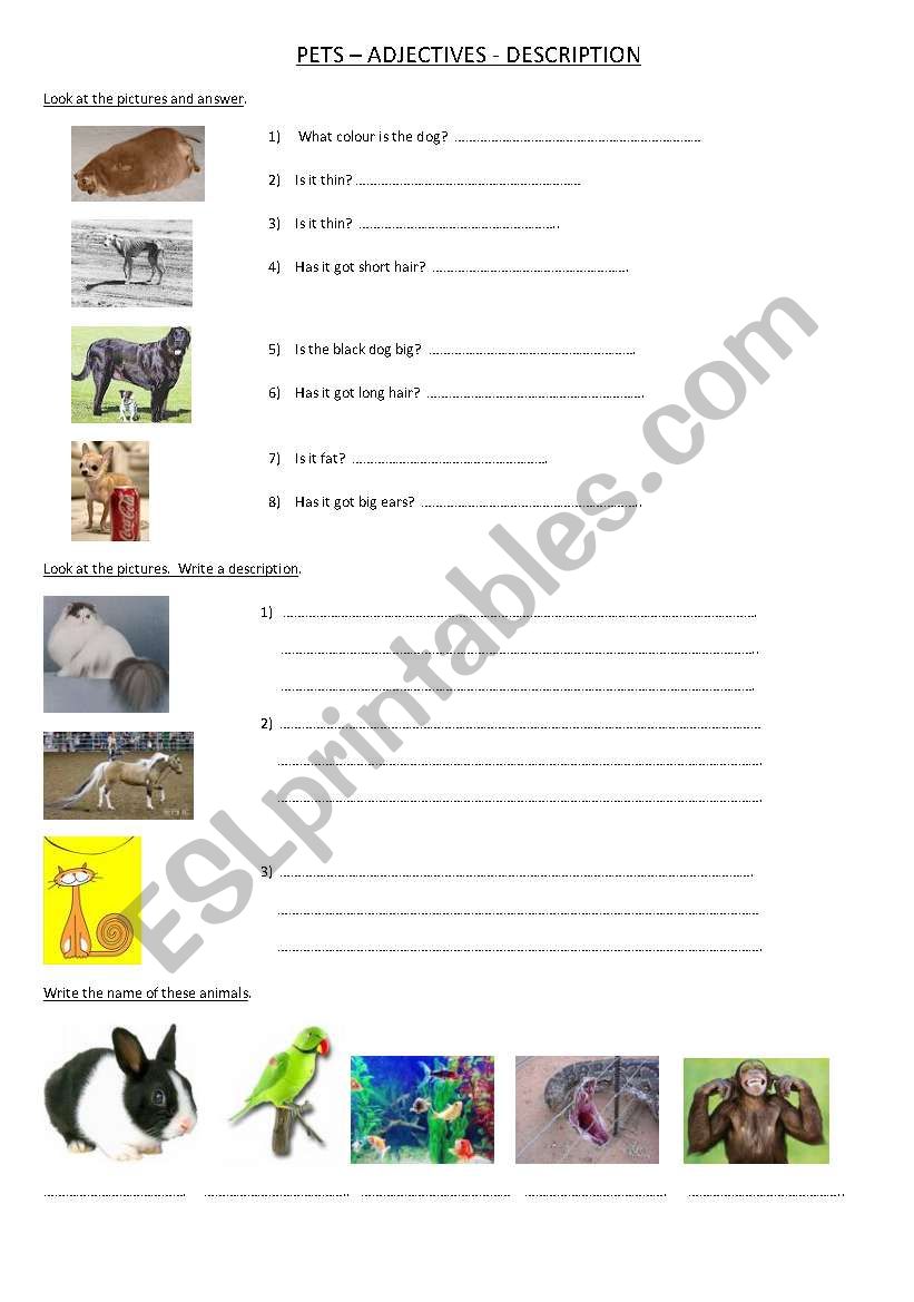 PETS worksheet