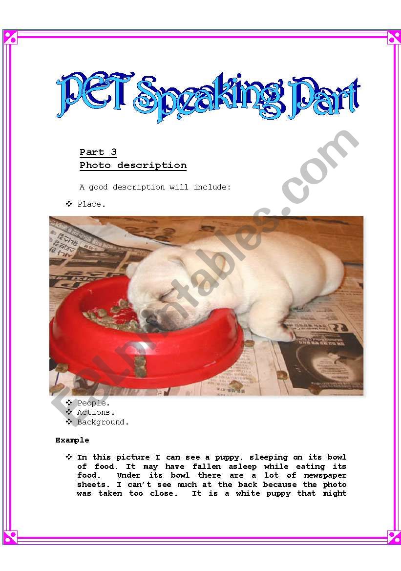 Pet photo description worksheet