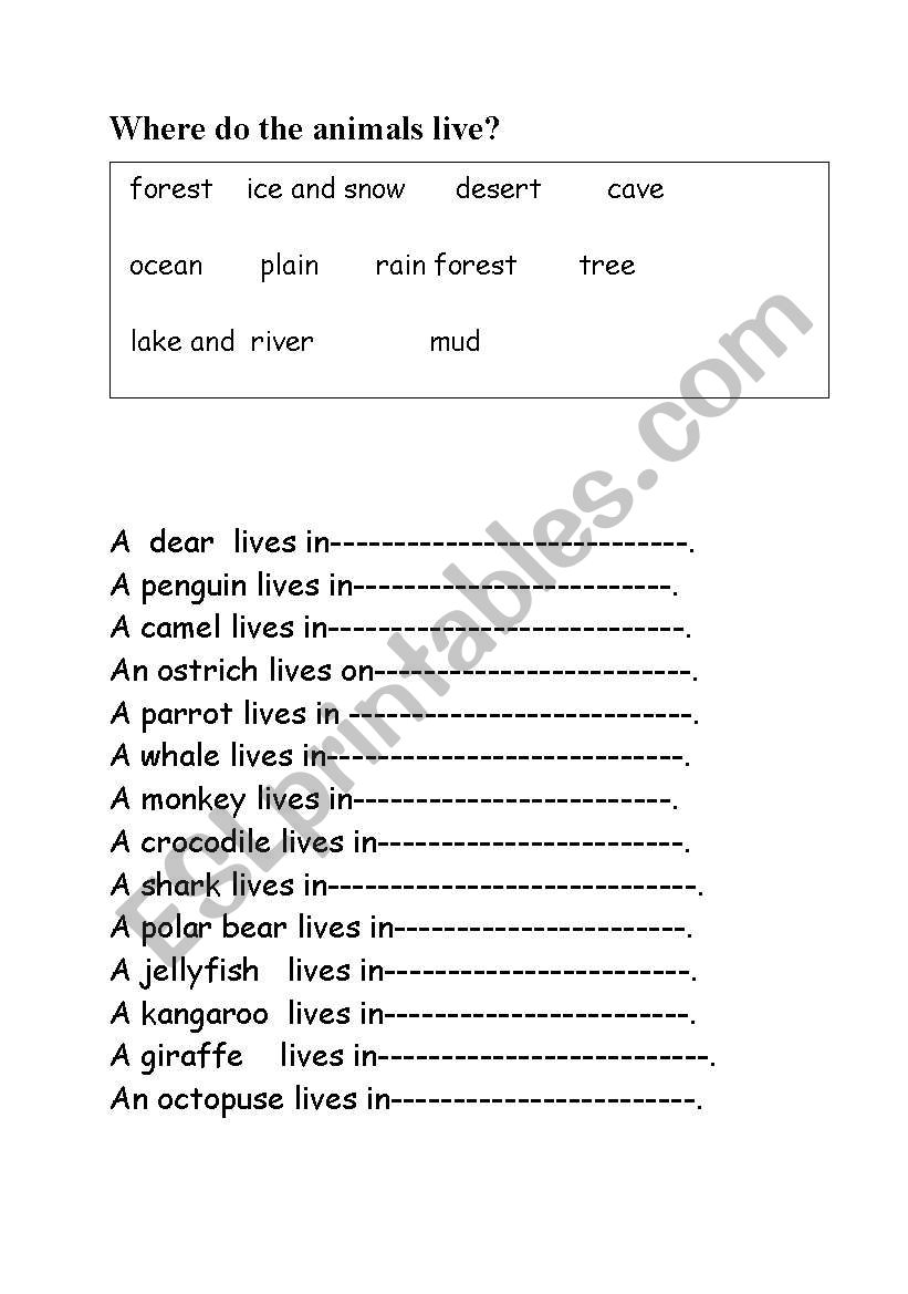 Anmals worksheet