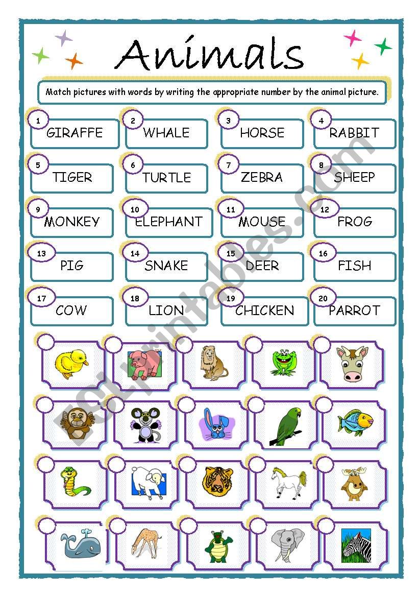 ANIMALS, match up worksheet