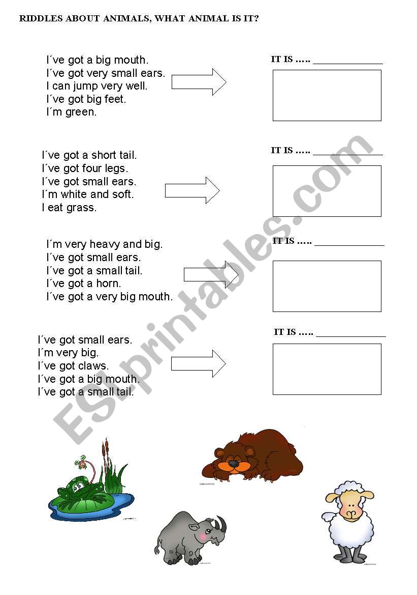 ANIMALS worksheet