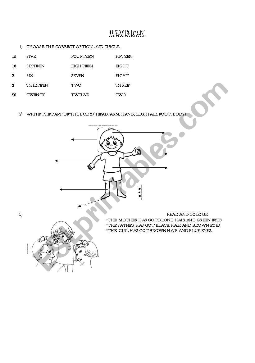 REVISION, NUMBERS, PART OF THE BODY, COLOURS