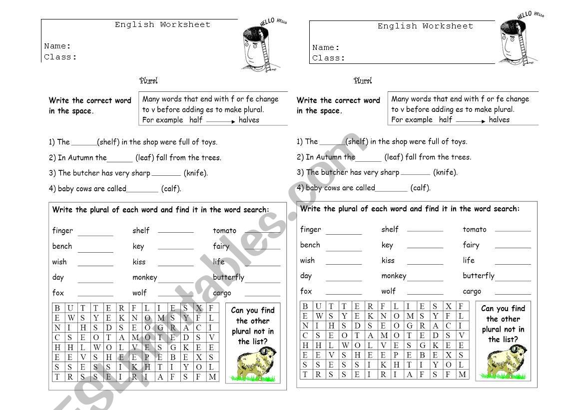 Irregular Plural worksheet