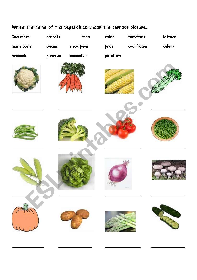 Vegetable Match worksheet